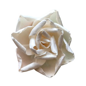 Flor de Sola Rosa Marfil, Flores de Madera de Sola de 8-8.5 CM, Varilla de Fibra Vegetal de Sesbania, Aromaterapia Hecha a Mano - Product Image 1