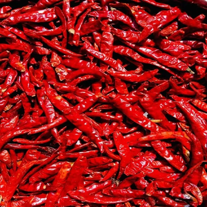 Piments rouges séchés à l'air offrant une saveur de piment de Cayenne, utilisés dans les mélanges d'épices piquantes et comme ingrédients pour sauces, avec emballage d'exportation pour les acheteurs en gros. - Product Image 6