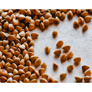 Graines de sarrasin brutes pour l'agriculture, très demandées, pour une vie saine - Product Image 4