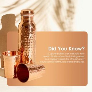 Business growth copper <b>bottle</b> for resellers bulk export private branding and profitable global distribution - Product Image 1
