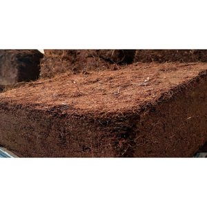 Fibres de noix de coco écologiques et durables en vrac à vendre - Product Image 3