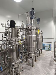 30-300L Edelstahl Automatischer Fermenter Bioreaktor mit Druckbehälter, Motor & Pumpe für die Produktion von Inaktivierten Impfstoffen - Product Image 5