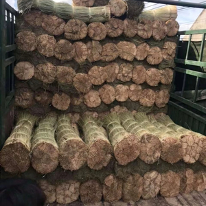 โรงงานเวียดนามจำหน่ายเส้นใยหญ้าทะเลดิบ วัสดุธรรมชาติสำหรับสานตะกร้า ผู้จัดจำหน่ายส่งออกจำนวนมาก - Product Image 1