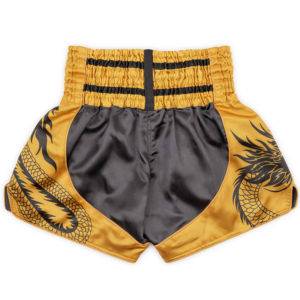 Shorts de combat de haute qualité pour hommes, design personnalisé imprimé, pour le kick boxing et le Muay Thai, broderie sportive avec impression, pour garçons - Product Image 5