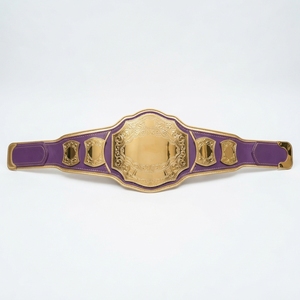 Ceinture de championnat de boxe plaquée or personnalisée, trophée sportif de lutte, récompense de compétition, plaques métalliques, sangle en cuir - Product Image 4