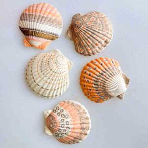 Coquillages peints en promotion, coquillages décoratifs, coquilles de capiz et coquilles de pétoncle avec divers motifs peints - Product Image 1
