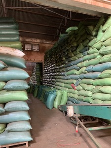 เมล็ดกาแฟเขียวพรีเมียม โรบัสต้า S16 S18 คาปิตอล คอฟฟี่ บูออนมาทูอต เวียดนาม คั่วบด บรรจุถุงกระสอบป่าน 60 กก. พร้อมส่งออก - Product Image 6