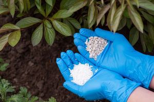 Factory Price Agricultural Fertilizante Urea N46% 46% 46-0-0 Granular Urea <b>Fertilizer</b> Bulk 50kg Per Bag for Plant Growth - Product Image 3