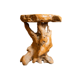 Meubles de salon pour la maison, table basse artisanale antique durable, luxe haut de gamme, rustique, en racine de teck, faite à la main, ARTERRA Studio - Product Image 2