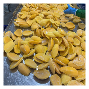 Fabricante de Mango Congelado en Cubos de Vietnam de Primera Calidad, Suministro al por Mayor con Empaque Flexible para Mercados Internacionales - Product Image 1