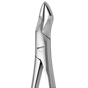 Pinzas de Extracción Fig. 101 para Premolares Superiores y Raíces, Patrón Dental Inglés, Instrumento de Extracción Dental de Acero Inoxidable - Product Image 2