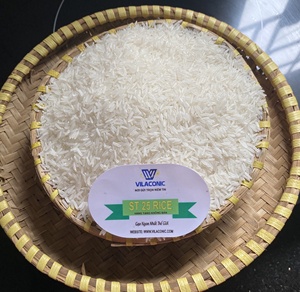 Riz blanc à grains longs ST25 de qualité supérieure pour la vente en gros - Marque Vilaconic - Product Image 5