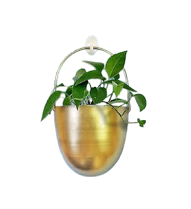 Jardinière murale de luxe dorée, finition laiton, pot en fer, jardin vertical d'intérieur, bassin suspendu décoratif, décoration artistique moderne pour bureau - Product Image 4