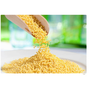Bulk Organic <b>Millet</b> Premium Grain Supply for Wholesale and Food Industry Use - Product Image 4