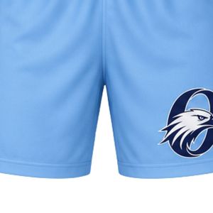 Conjunto de Hockey sobre Hielo Azul Claro y Blanco, Jersey y Pantalones Cortos Sublimados, Uniforme Deportivo de Equipo, Ropa de Entrenamiento, Ropa Deportiva para Juegos al Aire Libre - Product Image 5