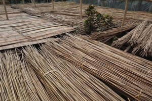 Personalized Bamboo <b>Straws</b> Reusable Eco Friendly <b>Drinking</b> <b>Straws</b> Custom Packaging <b>for</b> Corporate Gifts Wholesale - Product Image 6