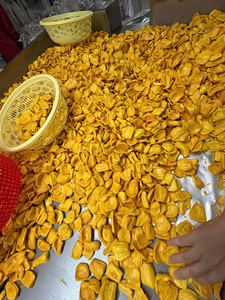 Chips de Jackfruit Séchées Premium en Gros – Snack Croustillant aux Fruits Tropicaux – Fournisseur Exportateur en Vrac pour Importateurs Mondiaux - Product Image 2