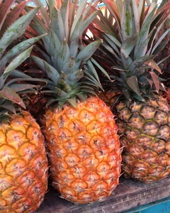 Piña Fresca de Alta Calidad al por Mayor, Fruta Tropical de Sabor Rico para Cadenas de Minoristas, Producción de Jugos y Exportación Global - Product Image 2