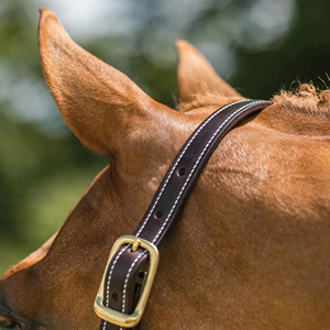 Horsekraft Export Quality English Leather Durable Triple Stitched Comfortable Halter with Brass Hardware for Horse Riding - Product Image 4