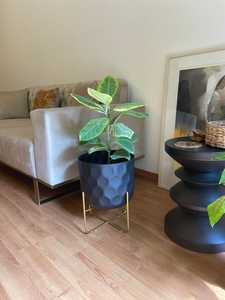 Minimalist Black Iron Flower Pot Gold Stand Drainage Hole Eco-Friendly Indoor Green Plants Desktop Planter Powder Coated Finish - Product Image 4