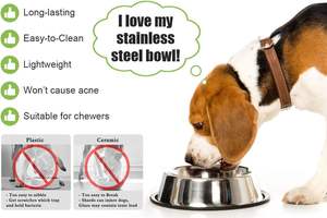 Comedero Portátil Antideslizante para Mascotas de 200 ml, Tazón de Acero Inoxidable Ecológico con Base de Silicona para Alimentar Gatos y Perros - Product Image 3