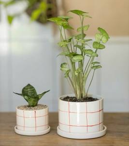 Maceta de Cerámica con Diseño Geométrico, Acabado Premium, Construcción Duradera, Decoración Elegante para Plantas de Interior y Exterior - Product Image 2