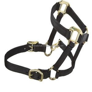 Sangle en nylon épais triple pli licou de cheval en nylon léger dans toutes les tailles et couleurs personnalisées avec matériel en laiton en acier inoxydable - Product Image 5