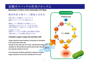 Mascarilla Facial de Gel Carbonatado con CO2 de Japón, Marca Privada OEM, Cuidado Profesional de la Piel, Paquete Facial de Oxígeno, Cosmético Iluminador para Spa - Product Image 3