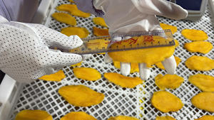 มะม่วงอบแห้ง มะม่วงหวาน ผลไม้อบแห้ง ขนมขบเคี้ยวสำหรับร้านสะดวกซื้อ เนื้อนุ่ม เคี้ยวเพลิน สไตล์ทรอปิคอล ผลิตจากเวียดนาม - Product Image 5