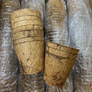 Pots en fibre de coco 2026 très demandés pour le démarrage des semis et le soutien de la croissance des racines – Matériau propre, sûr et écologique - Product Image 5