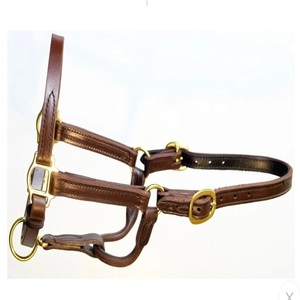 Cabestro de Cuero Premium para Caballo, Color Marrón Habana y Negro, Doble Costura, Ajustable, para Carreras de Caballos - Product Image 6
