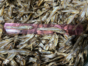 Anchois séchés de la meilleure qualité - Fruits de mer séchés du Vietnam - Prix de gros bon marché Poisson séché / Mme Lima - Product Image 2