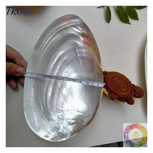 Plat en nacre pour fêtes d'anniversaire, cadeaux d'anniversaire et décoration de table élégante pour un intérieur naturel - Product Image 1