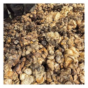 Grumos de caucho natural a granel para plantas de procesamiento químico y compuesto de caucho - Product Image 4