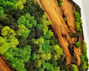 Panel de Arte Mural de Musgo de Madera de Lujo, Hecho a Mano, Decoración de Musgo Natural, Arte Rústico Inspirado en el Bosque, Decoración de Pared con Resina Epoxi - Product Image 5