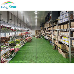 Cámara Frigorífica con Puerta de Vidrio para Exhibición de Bebidas, Ahorro de Energía - Product Image 5