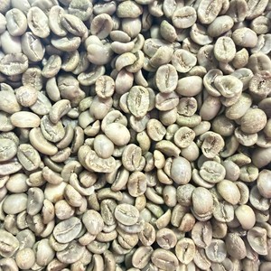 Vietnam Arabica Green Coffee <b>Beans</b> Screen Size 16 Raw Bulk Supply Export Quality Coffee Supplier Worldwide - Product Image 1