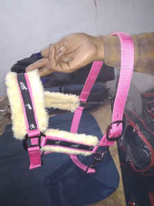 VENDO PP HALTER con ACOLCHADO DE PIEL COLORES NEGRO AZUL ROJO dólar 2 tallas full COB Shetland - Product Image 6