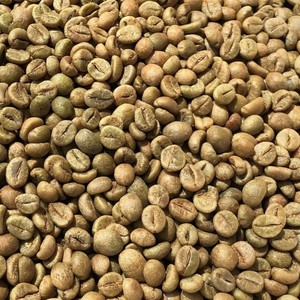 Grains de café vert Robusta de qualité supérieure pour torréfaction et brassage d'espresso, tamis 16, provenant de fermes des Hautes-terres du Vietnam - Product Image 3