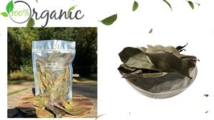 ใบฝรั่งแห้งพรีเมียม วัตถุดิบชาสมุนไพรธรรมชาติ 100% - Product Image 4