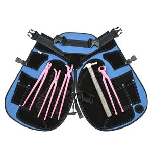 Ensemble d'outils pour fermeur de chevaux avec marteau de fermeur, extracteur de clous rose, décolleur de clous, pince à clous courbée en acier inoxydable - Product Image 1