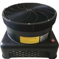 Sky Dancer Gonflable avec Ventilateur Électrique et Éclairage LED, Construction en Plastique et Métal, Alimentation CA