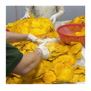 มะม่วงอบแห้งหวานนุ่มขายส่ง – มะม่วงอบแห้งเกรดพรีเมียมสำหรับธุรกิจขนมเพื่อสุขภาพ - Product Image 4
