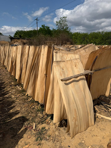 Plaques de placage en bois de caoutchouc naturel du Vietnam 100 % écologiques et durables, coupées à la rotative pour meubles d'intérieur - Product Image 3