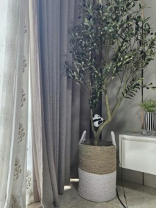 Cesta Redonda de Seagrass - Product Image 5