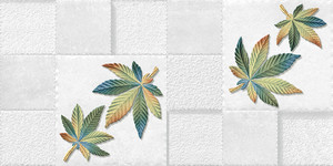 Carreaux muraux Premium Choice de qualité supérieure, carreaux d'élévation Asia Tiles 300x600mm pour articles de santé. - Product Image 3