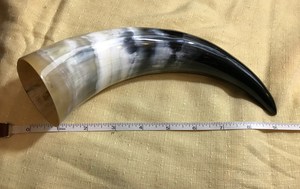 Corne à boire artisanale en corne de bœuf, authentique corne de vache et de buffle, cornes à boire vikings médiévales à prix abordables - Product Image 3