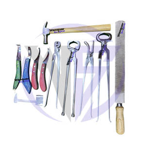 Nuevo Kit de Herramientas de Herrador Personalizadas Todo en Uno de 10 Piezas Wenquar, Set Profesional para el Cuidado de Pezuñas, Instrumentos Quirúrgicos - Product Image 6