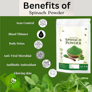 ผงผักโขมอบแห้งแบบพ่นฝอย 100% ธรรมชาติ ปลอดจีเอ็มโอ ออร์แกนิค บรรจุภัณฑ์แบบขายส่ง ละลายน้ำได้ดีเยี่ยม ประโยชน์ต่อสุขภาพ - Product Image 3