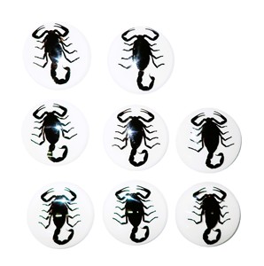 Black Scorpion Real Specimen Plastic Cabochon Round 38x38 mm White Flat Bottom for Crafts and Jewelry Making - Product Image 4